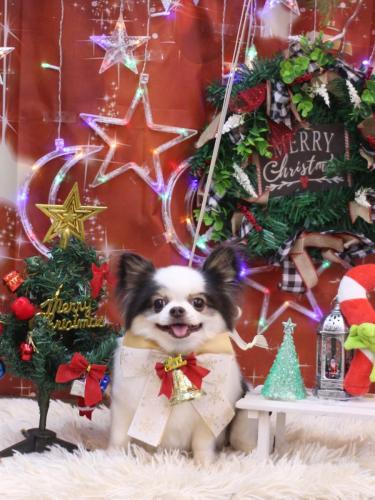 20231222リアンくん